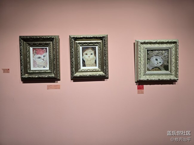 【幸福时光】关于喵星人的艺术