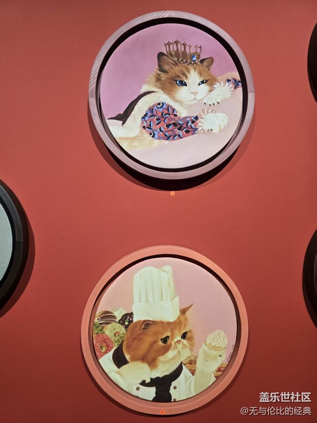 【幸福时光】撸猫日记展