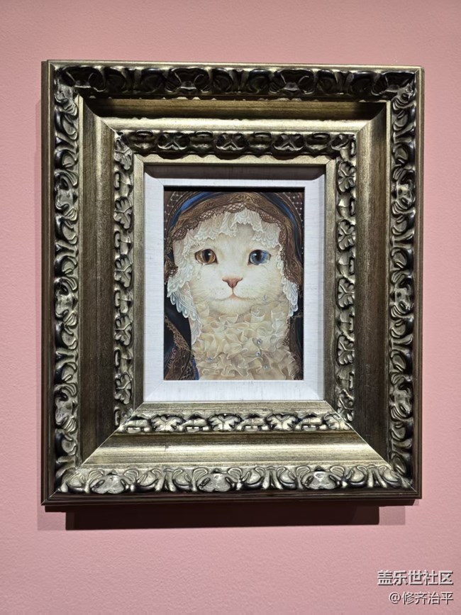 【幸福时光】关于猫的艺术