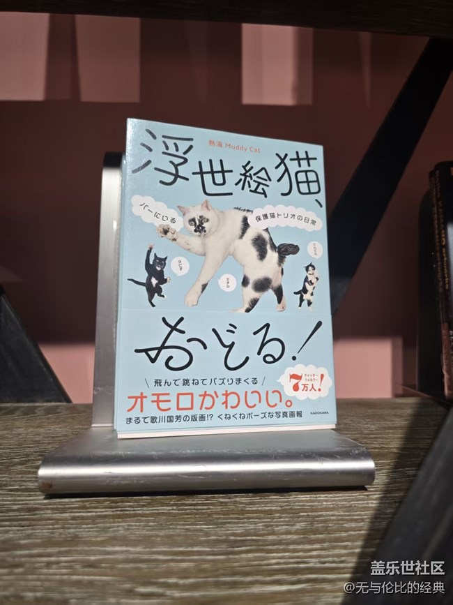 【幸福时光】关于喵星人专用书籍