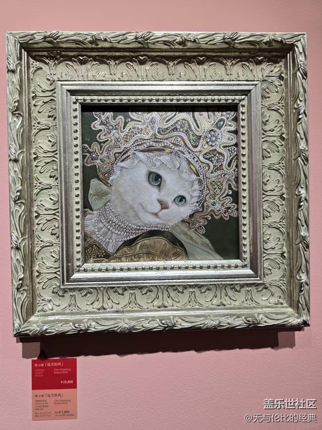【幸福时光】不同身份的猫咪