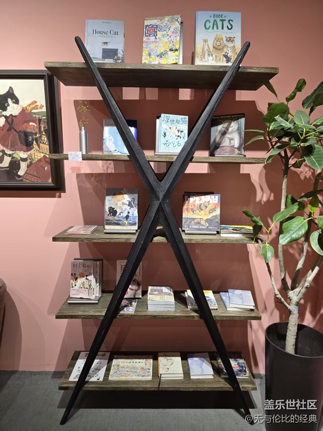 【幸福时光】逛撸猫日记展