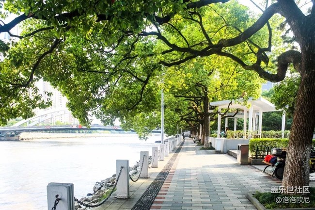 【我家附近的公园】三江汇口公园