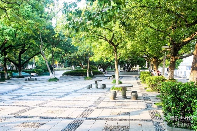 【我家附近的公园】三江汇口公园