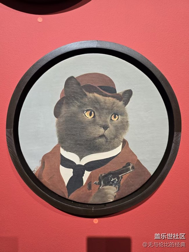 【幸福时光】不同身份的猫咪
