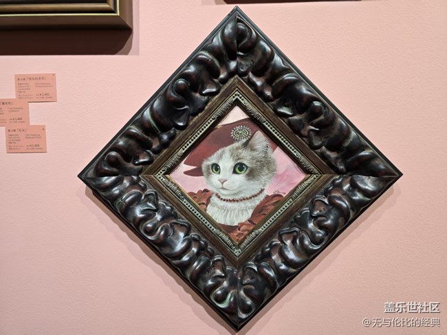 【幸福时光】逛撸猫日记展