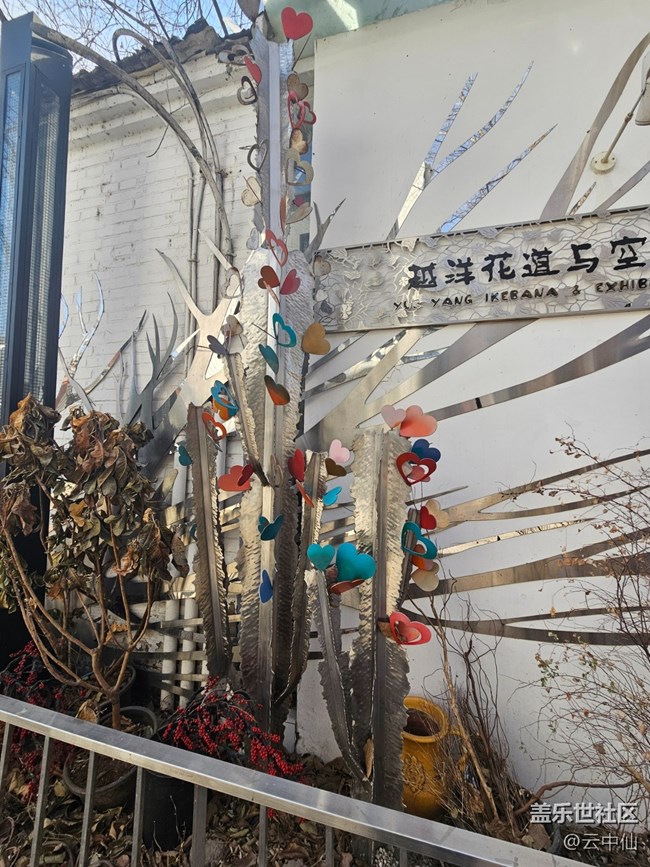 【幸福时光】园区随拍