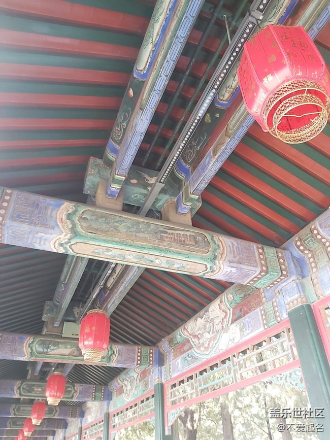 【我家附近的公园】趣游园林，点亮周末欢乐