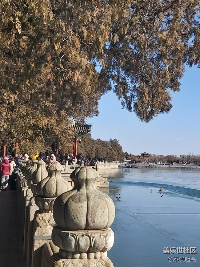 【我家附近的公园】园林寻奇，周末惊喜之旅