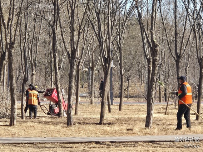 【我家附近的公园】湿地公园野营