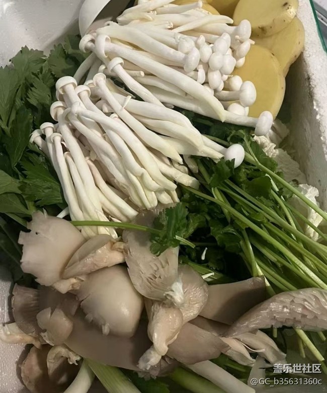 【初春美食记】吃美食