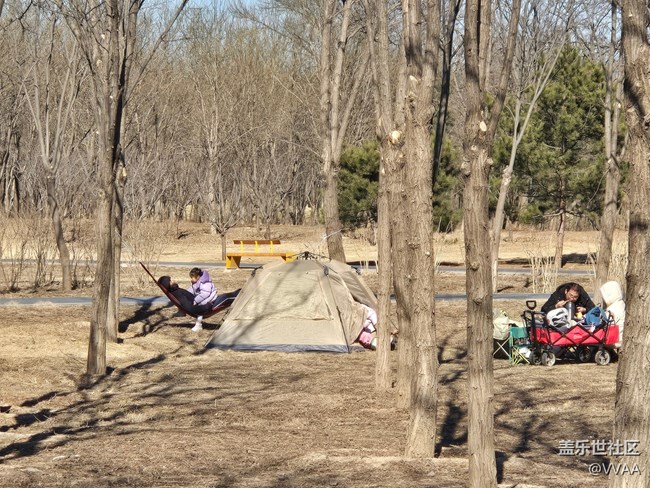【我家附近的公园】湿地公园野营