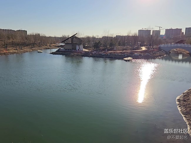 【我家附近的公园】周末游湿地，领略生态之美