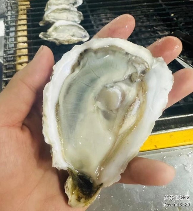 【初春美食记】烤生蚝