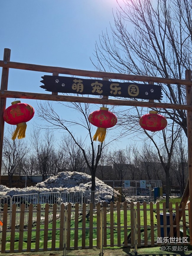 【我家附近的公园】萌宠乐园