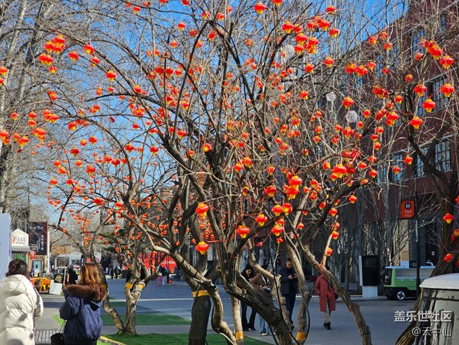 【幸福时光】园区随拍