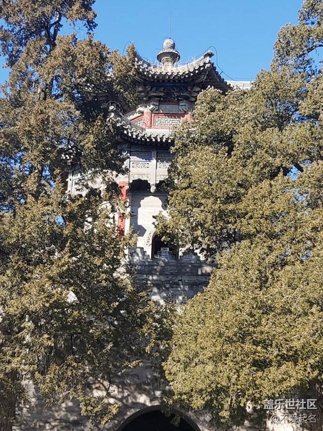 【我家附近的公园】周末尽情领略