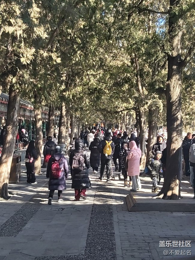 【我家附近的公园】园林寻奇，周末惊喜之旅