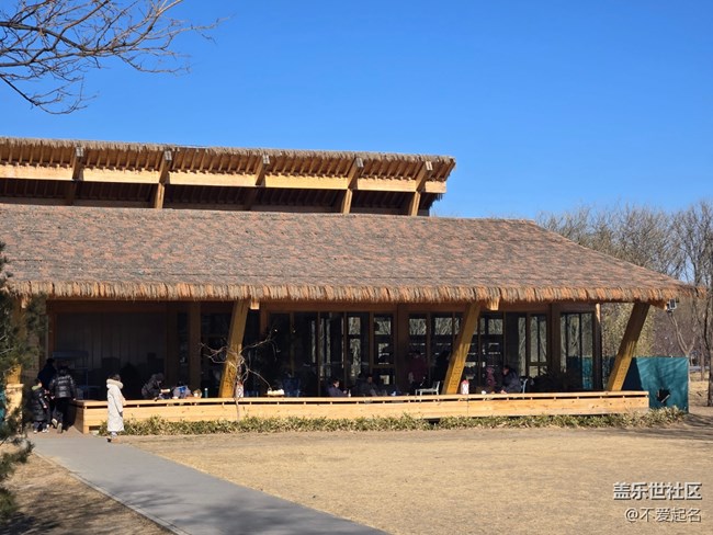 【我家附近的公园】周末湿地行，邂逅自然野趣