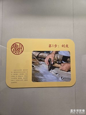 跟着学做皮影