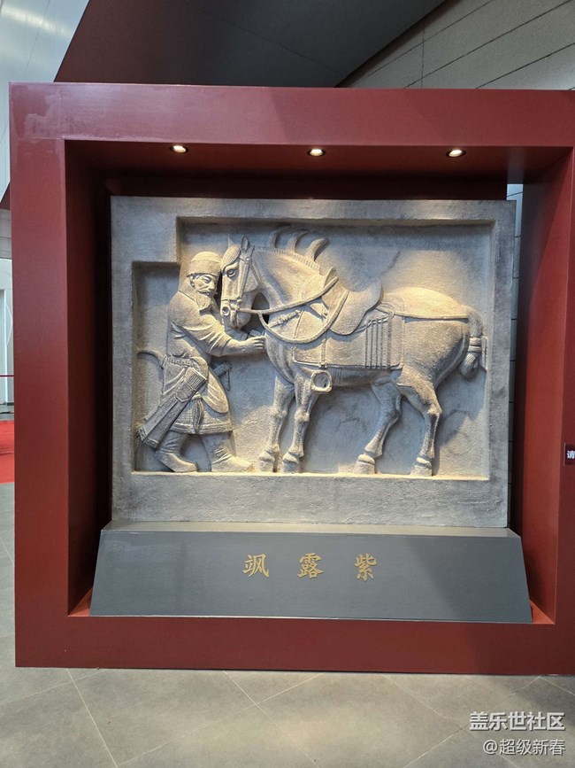 【贞观鉴线下摄影活动】+线下摄影活动回顾贴