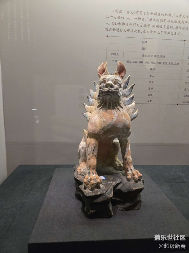 【贞观鉴线下摄影活动】+线下摄影活动回顾贴