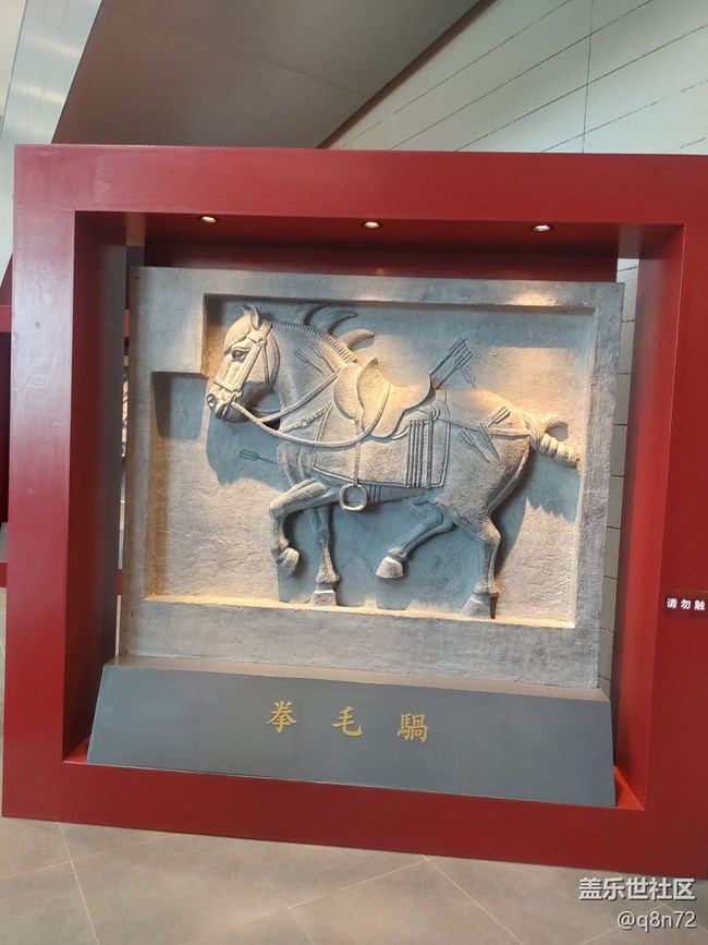 【贞观鉴线下摄影活动】+闵行博物馆线下摄影活动回顾贴
