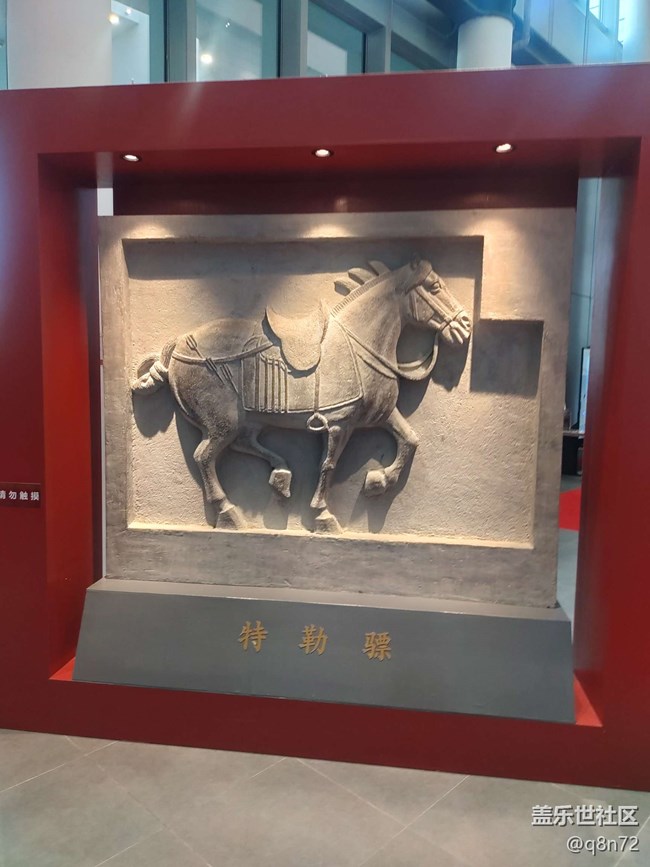 【贞观鉴线下摄影活动】+闵行博物馆线下摄影活动回顾贴