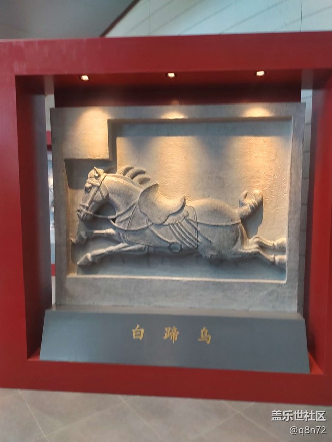 【贞观鉴线下摄影活动】+闵行博物馆线下摄影活动回顾贴