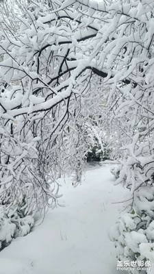 2025年的第一场雪①