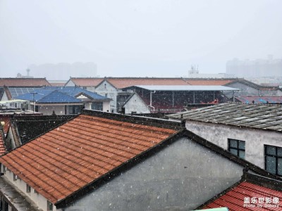 【煦色韶光】+早春下雪