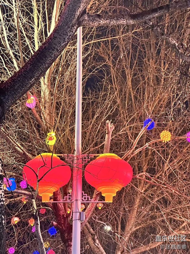 【记录我的春节】街边彩灯年味浓