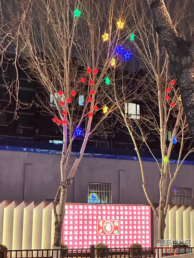【记录我的春节】街边彩灯年味浓