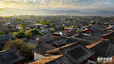 每日一拍