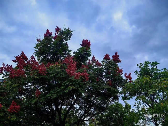 【春花浪漫】+与花相伴，邂逅美好