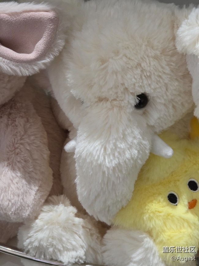 【爱在25】动物