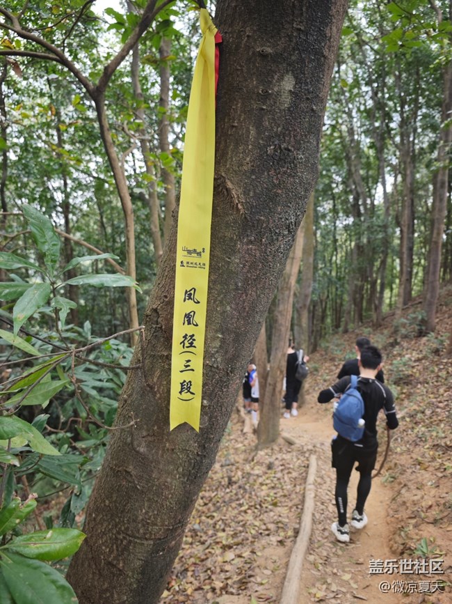 【活动回顾】光明徒步游记