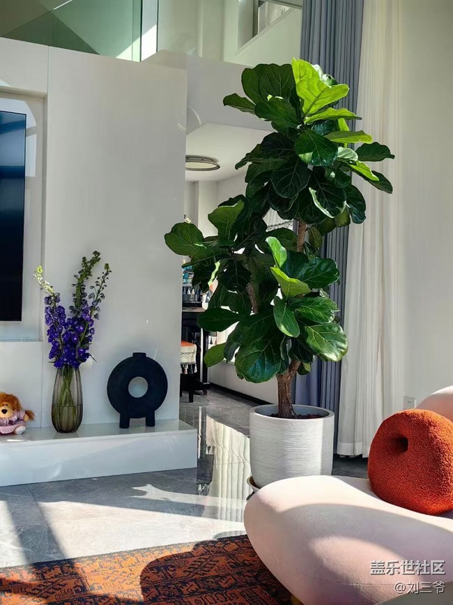 【广州的花花们】寻迹自然，邂逅美好