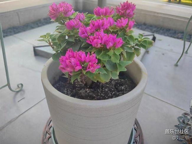 【春花浪漫】+与花相伴，邂逅美好