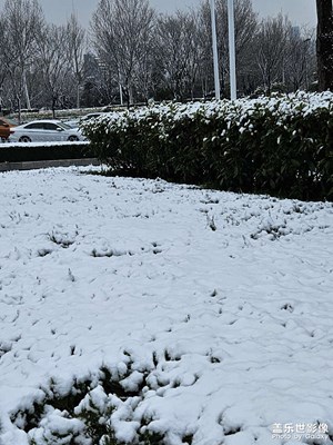 煦色韶光＋琅琊春雪
