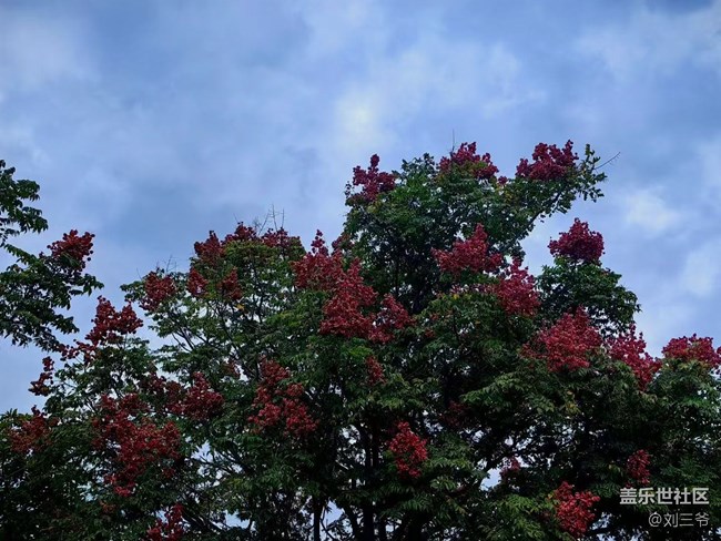 【春花浪漫】+与花相伴，邂逅美好