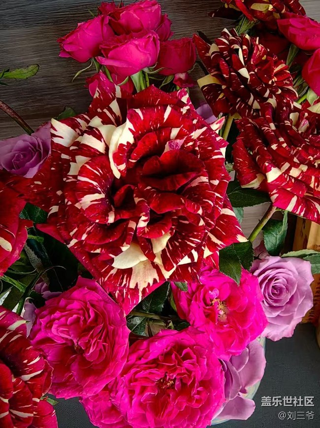 【广州的花花们】寻迹自然，邂逅美好