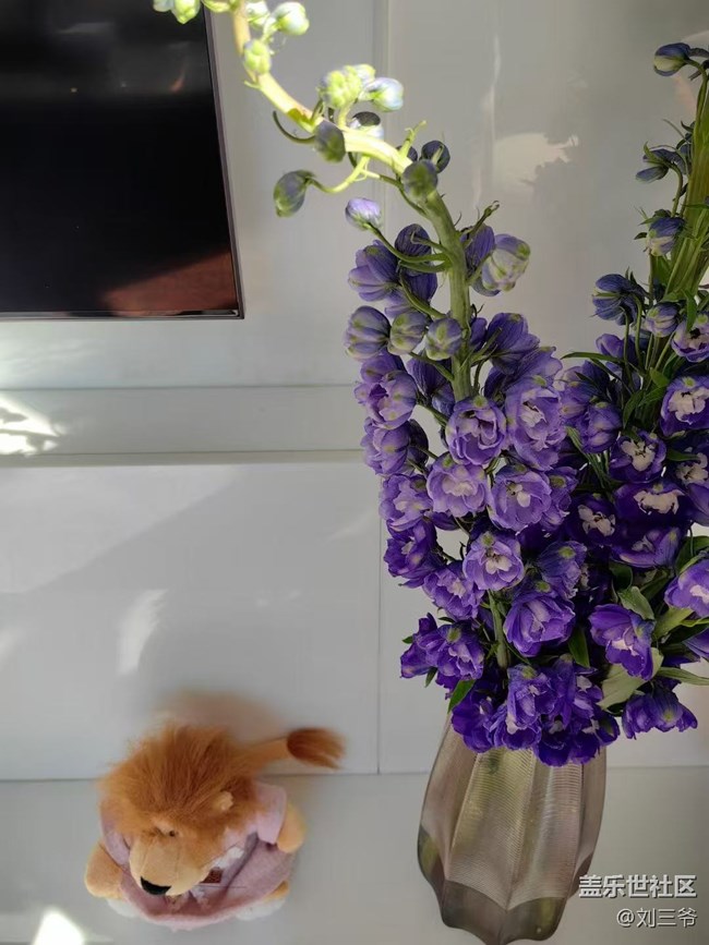 【广州的花花们】寻迹自然，邂逅美好