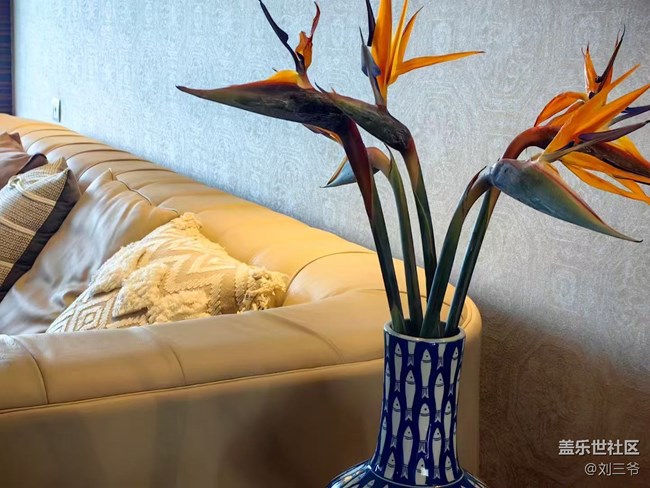 【春花浪漫】+与花相伴，邂逅美好