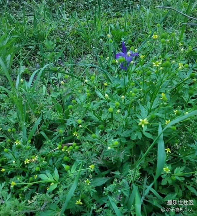 【广州的花花们】花开美丽