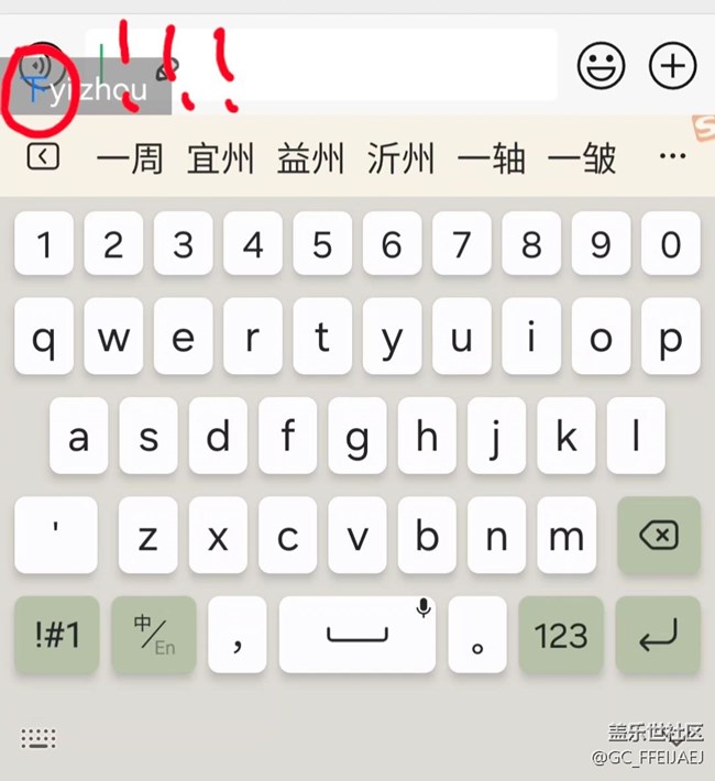 输入法bug，不能识别我选择的字