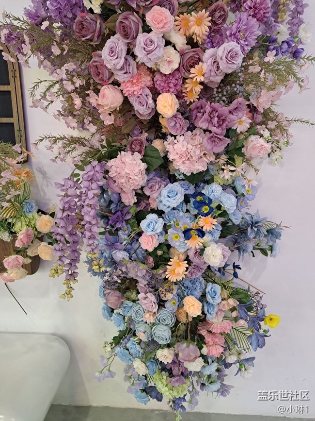 【广州的花花们】拍照好背景
