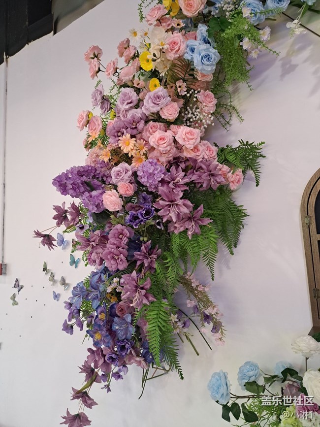 【广州的花花们】拍照好背景
