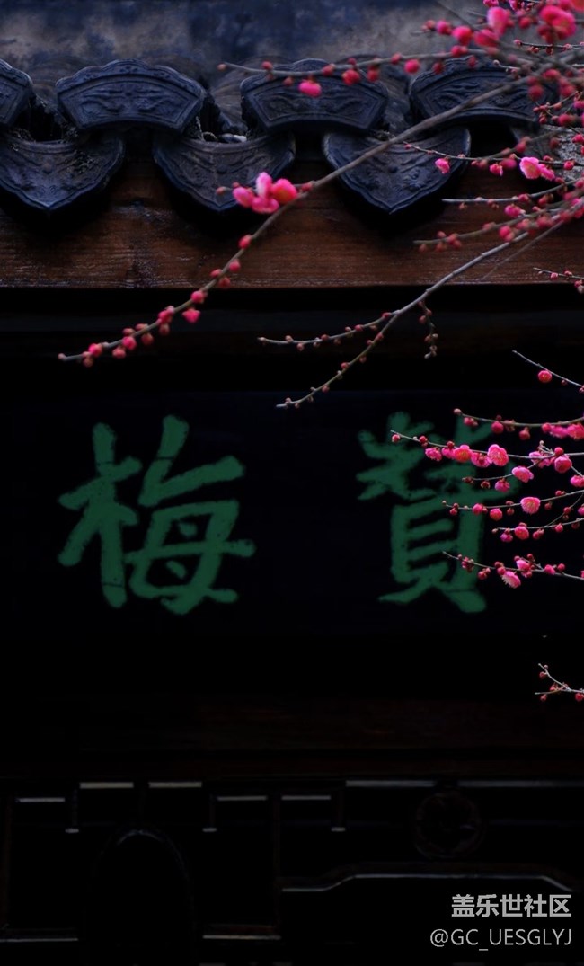【春花浪漫】+花影寻韵，邂逅诗意时光