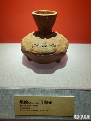 今天的图片